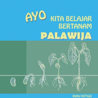 Ayo Kita Belajar Bertanam Palawija